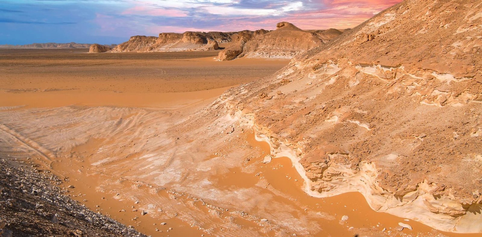 Farafra Oasis