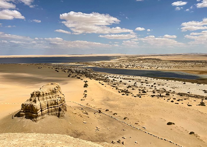 Fayoum Oasis