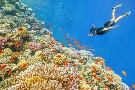 Private Tiran Island Snorkeling Trip from Sharm