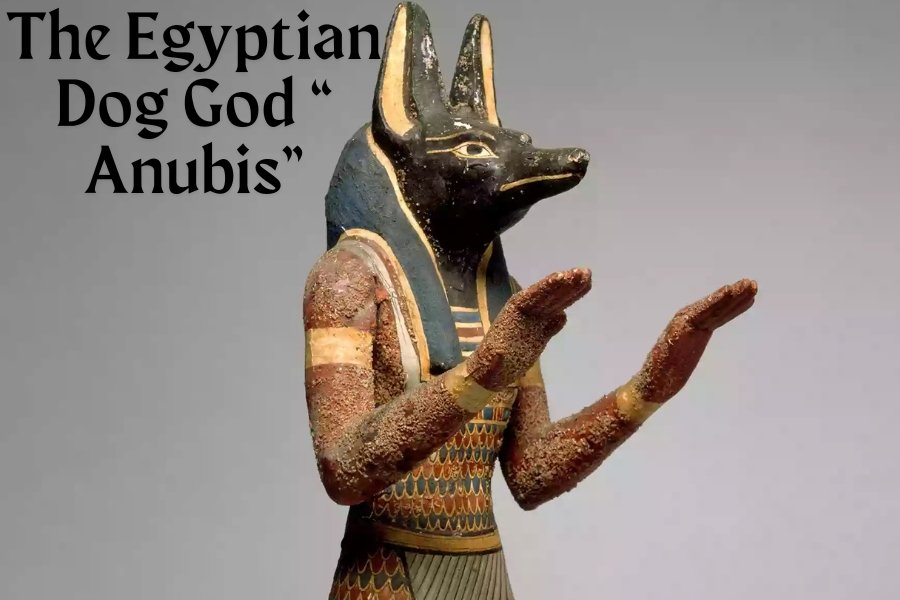 Egyptian Dog God