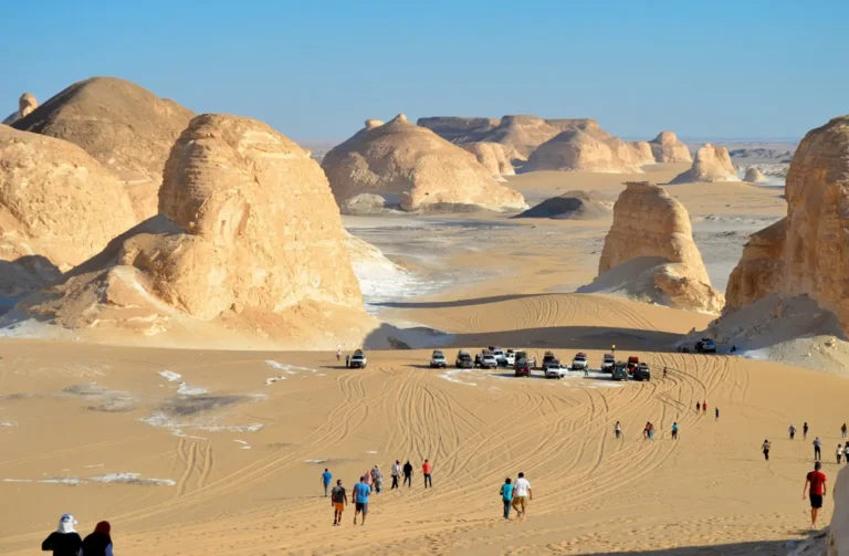 A group of 4x4 vehicles in the White Desert